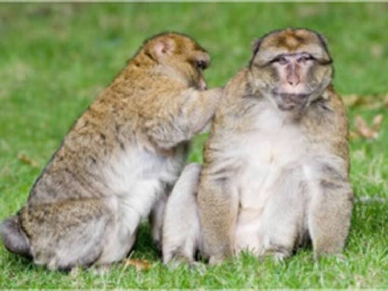 Piojos en verano… ¡El terror del regreso a clases!