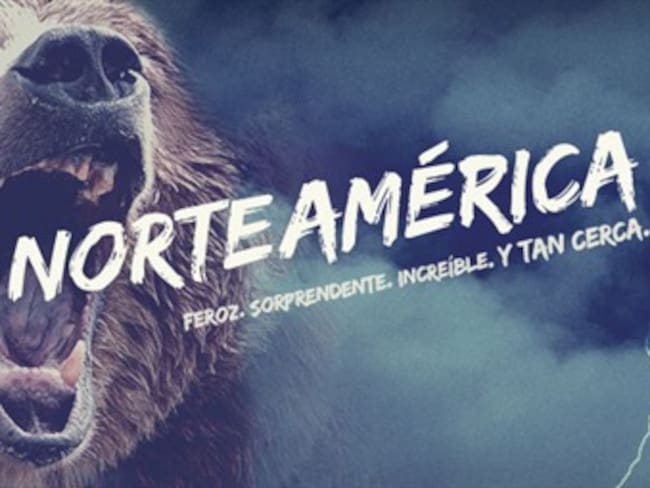 ¿Qué vale la pena ver en la televisión ?.'Tu mejor plan' con Alvaro Cueva