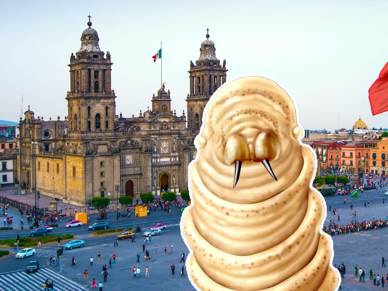 Han reportado los primeros casos de gusano barrenador en humanos en CDMX.