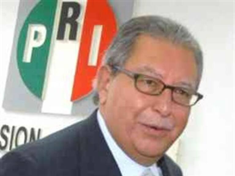 PRI no busca aplauso fácil: Rojas