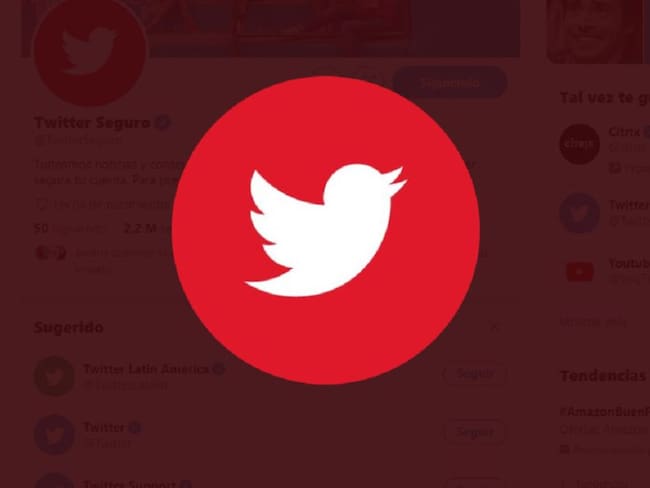 Twitter prohíbe la promoción de contenido político