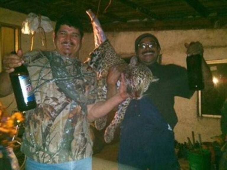 Denuncia PROFEPA ante PGR a sujeto que capturó y cocinó a un jaguar