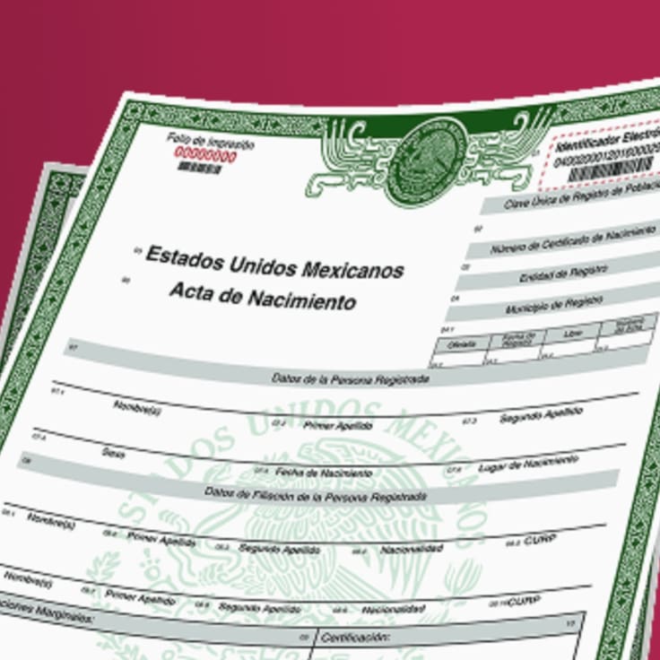 Acta de nacimiento en línea: qué hacer si no aparece en el sistema