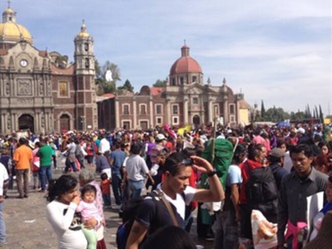 Nacen los primeros perros por fecundación in vitro