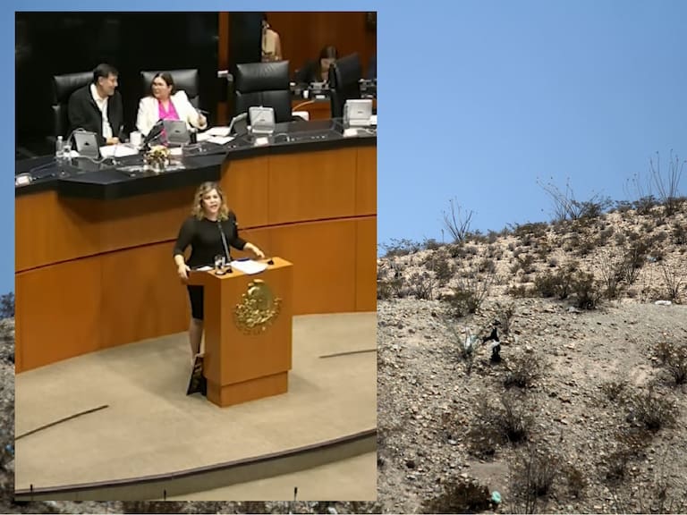 La diputada del Partido del Trabajo, Lidia Aguilar Gil advirtió que la Ley Nacional de Aguas no contempla adecuadamente a las zonas desérticas y semidesérticas.FOTO: NACHO RUIZ /CUARTOSCURO.COM