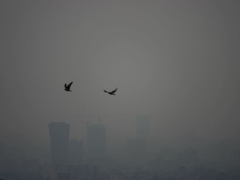 FOTO: GRACIELA LÓPEZ /CUARTOSCURO.COM