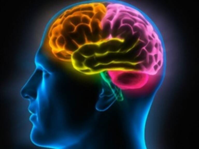 Empatía, cuestión de genética