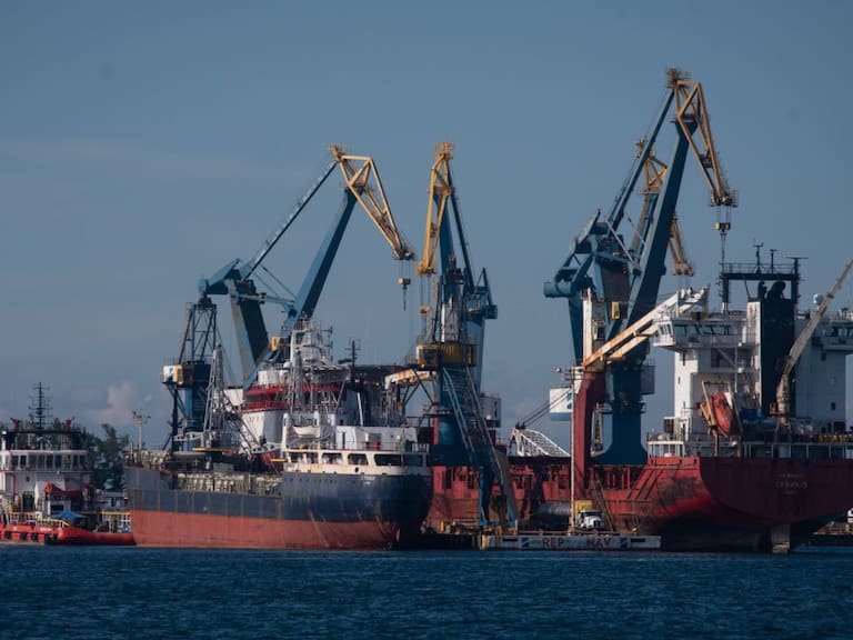 El Puerto de Veracruz no está concesionado a la IP: Dip. Martha Tagle