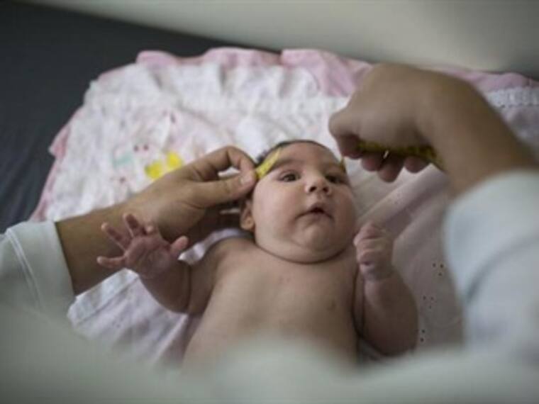 ¿Por qué tanta controversia por el virus del Zika?