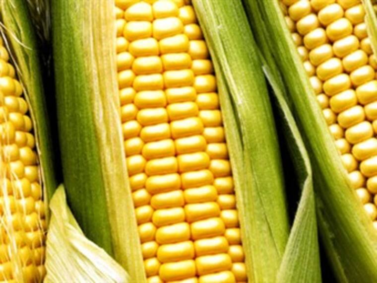 Maíz. Carla Cisneros, productora