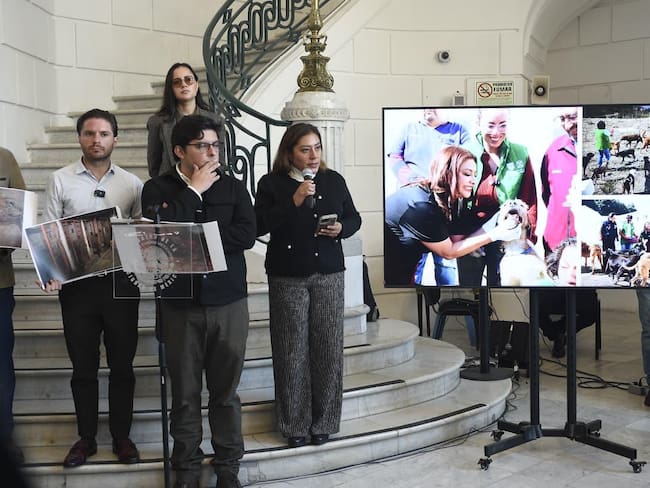 Congreso realizará foros para regular refugios de animales en CDMX