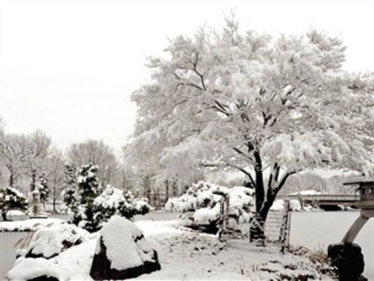 Semiparaliza al noreste de EU primera tormenta invernal del 2014