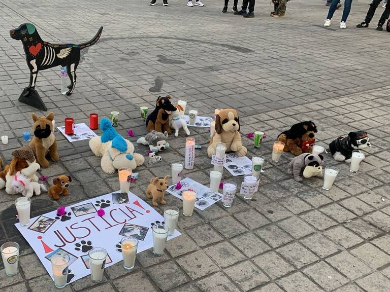 Piden justicia por el incendio del refugio