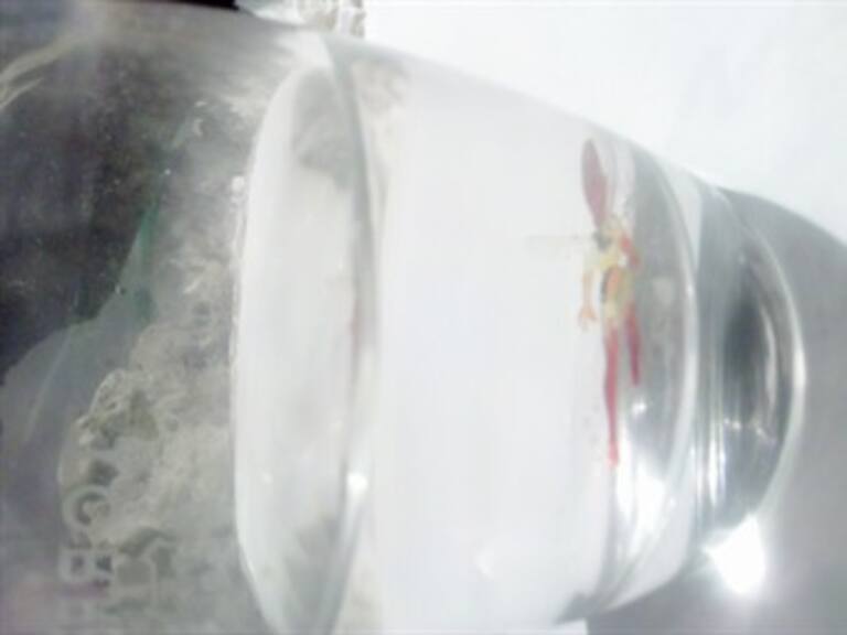 Impresiona supuesta aparición de 'hada' en Guadalajara