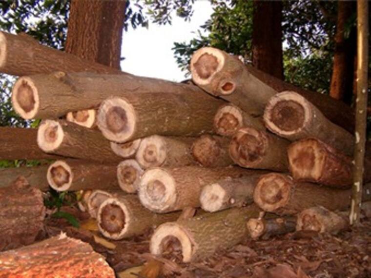 Protec se apodera de los mercados. Momento Corporativo con Roberto Aguilar