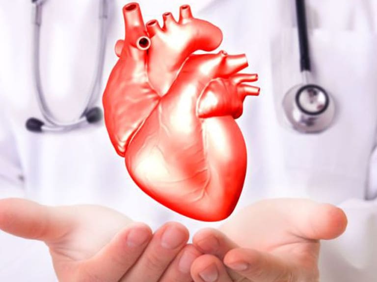 5 datos que no sabías del corazón.
