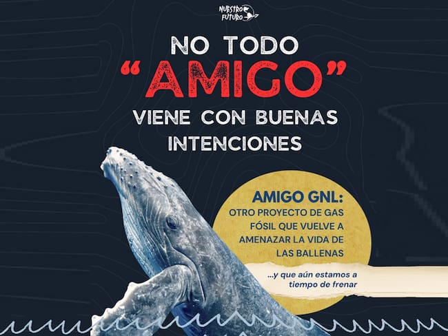 Proyecto Amigo GNL recibe suspensión definitiva por un juzgado federal en Sonora