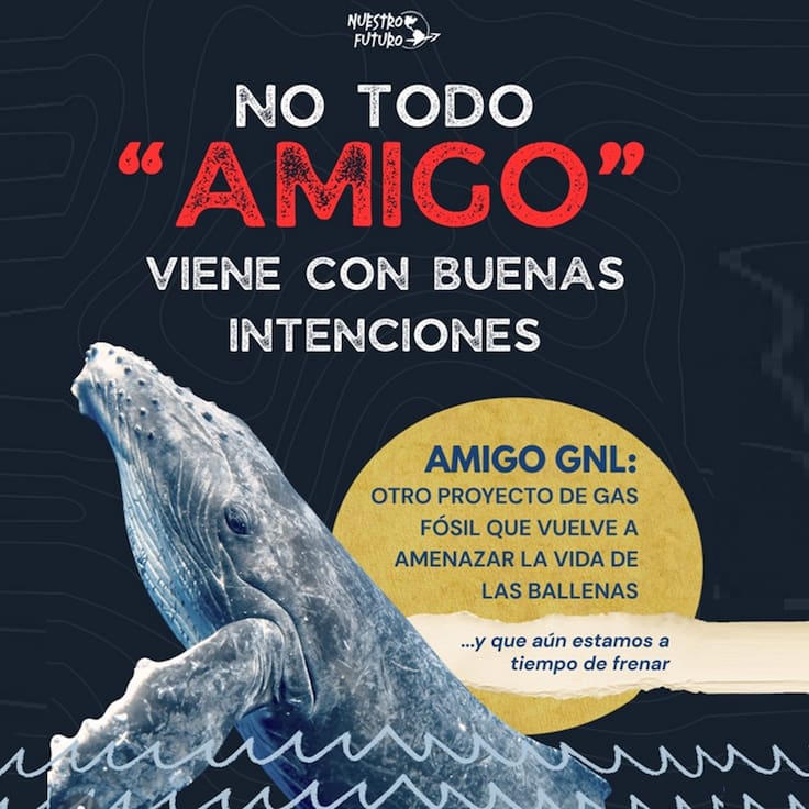 Proyecto Amigo GNL recibe suspensión definitiva por un juzgado federal en Sonora
