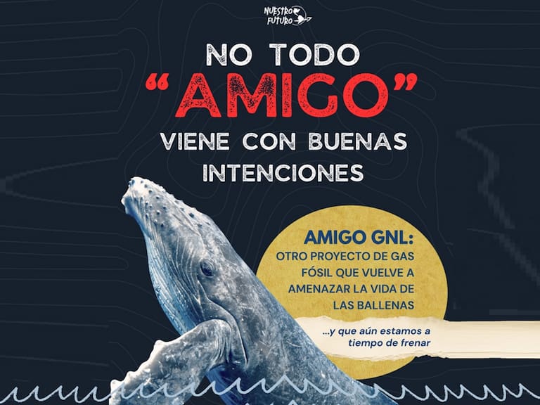 “Amigo GNL” en Guaymas obtuvo suspensión definitiva y es motivo de celebración en este Día Mundial del Medio Ambiente: Nuestro Futuro.
