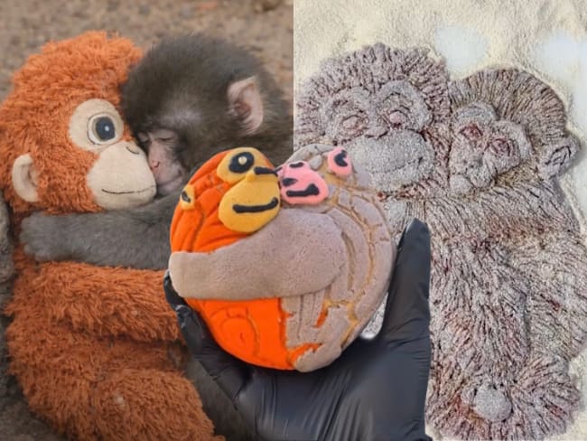 Punch y su peluche Lupe estrenan “Conchanguitos” en Iztapalapa y milanesa artesanal en Argentina