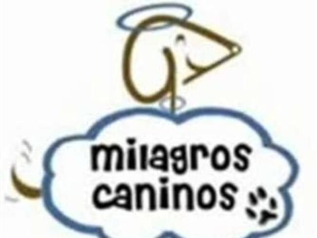 Cómo recibir a un perro adoptado.Paty Ruiz,