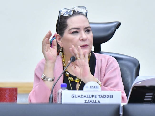 Conflicto de interés en el INE: ¿Guadalupe Taddei puede ir a la cárcel? Esto se sabe tras los señalamientos