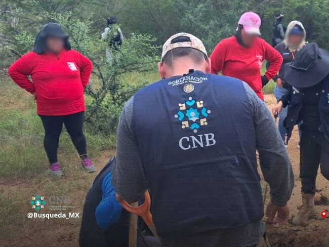 Comisión Nacional de Búsqueda da seguimiento a hallazgos en predio de Nayarit