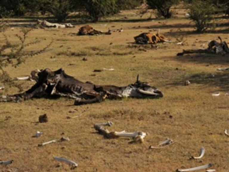 Ven en 'lluvia sólida' alternativa a sequía en el norte de México