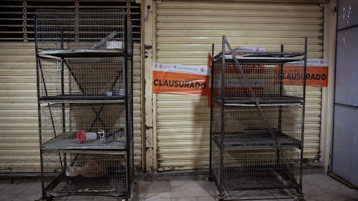 Ya no se podrán vender animales en el Mercado de Sonora de la CDMX