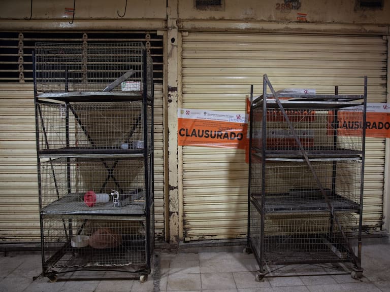 Clara Brugada recorre el mercado Sonora para supervisar que no se vendan animales vivos en el Mercado Sonora