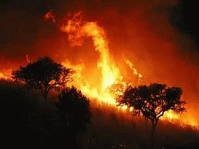 Presentan grandes sequías distintos municipios . Fernando Toranzo, gobernador de San Luis Potosí. 25/03/13