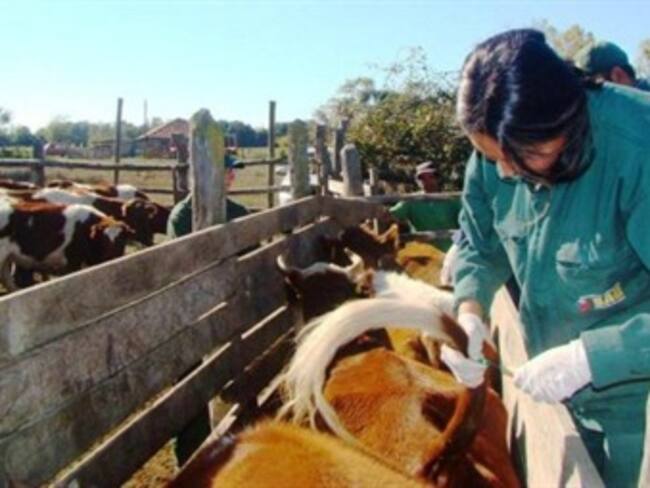 Por violencia, inspectores de ganado de EU dejan México