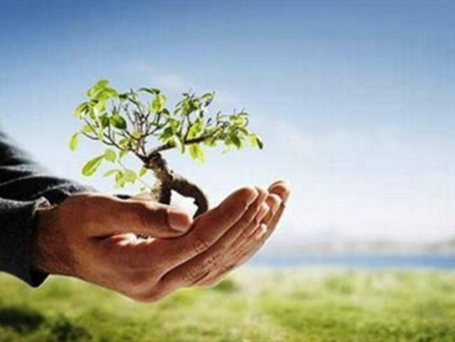 ¡Aprende a generar abundancia en tu vida!