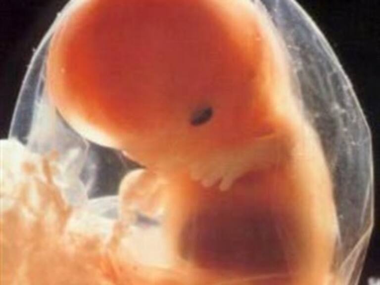 Pasó de 38.5 a 73% aceptación del aborto en DF