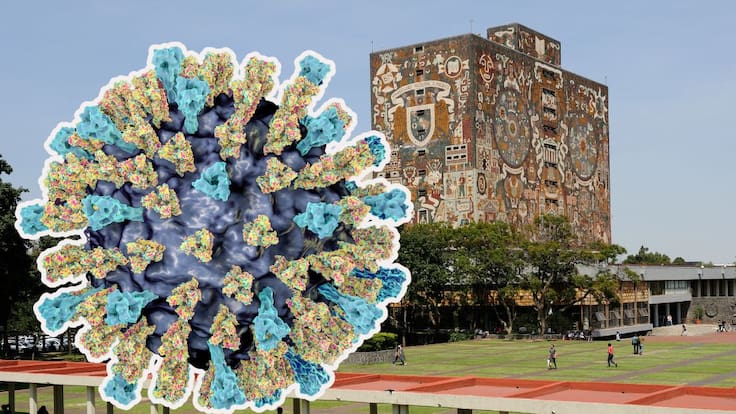 Sarampión en la UNAM: ¿pueden cancelarse las clases ante un posible brote?