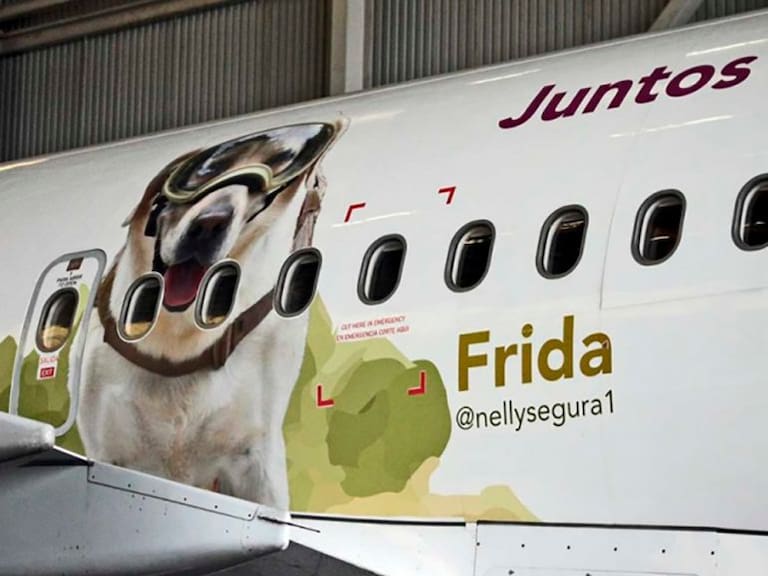 Frida ya tiene un avión en su honor