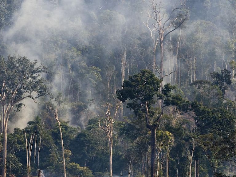 Incendio registrado en la región amazónica al norte de Brasil el 29 de noviembre de 2009