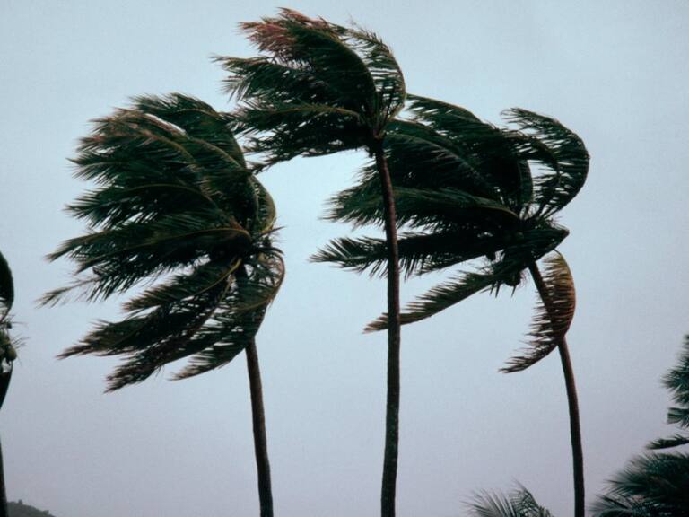 Tormenta Tropical Beatriz pasa a huracán categoría 1: Estados que afectará