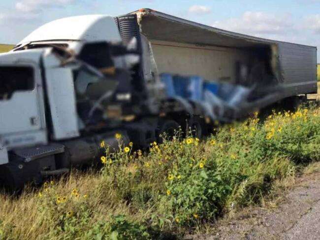 ¿Por qué tráiler volcado con perros y gatos muertos llevaba esa mercancía?