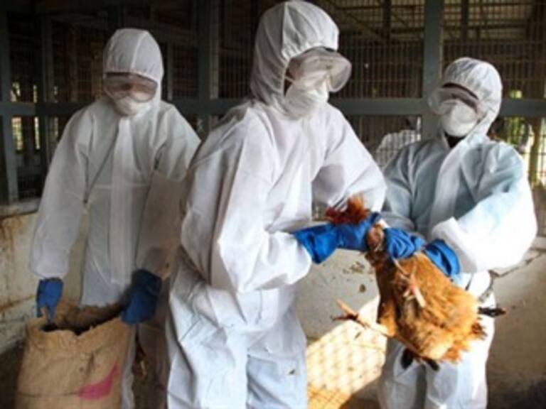 Fallece mujer china, infectada por gripe aviar