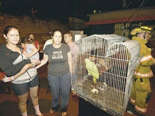 Loro alerta y salva a personas de un incendio