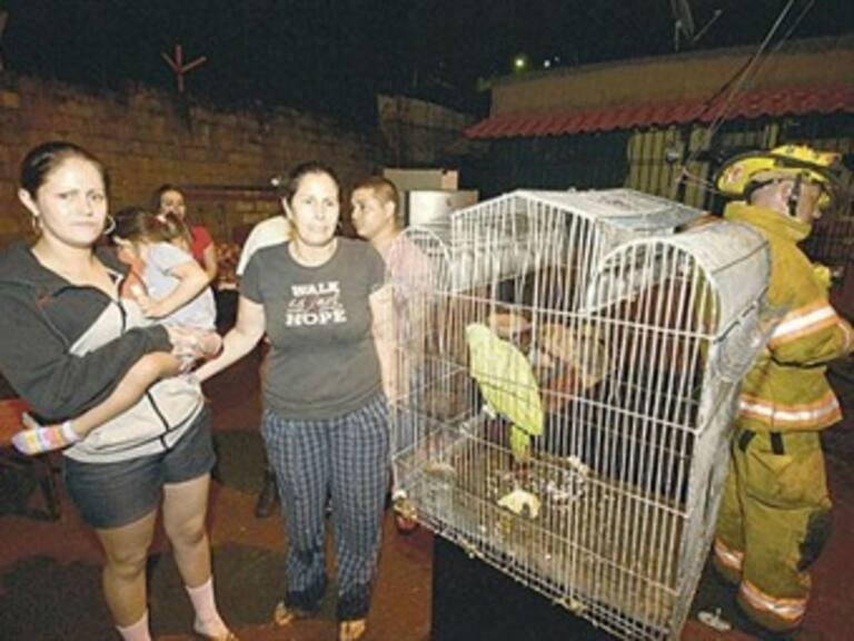 Loro alerta y salva a personas de un incendio