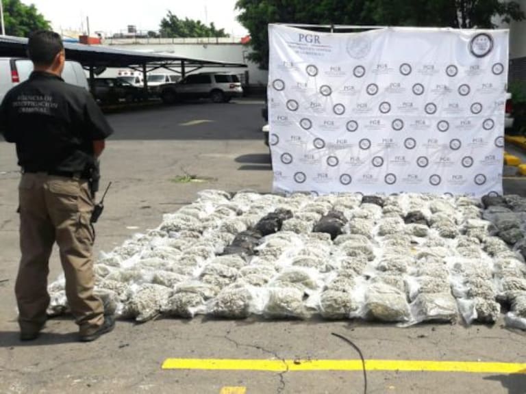 PGR decomisa 300 kilos de marihuana en Guadalajara