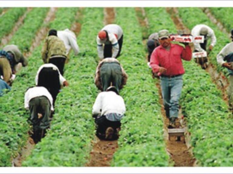 Permitirán buscar huellas dactilares de inmigrantes en Arkansas