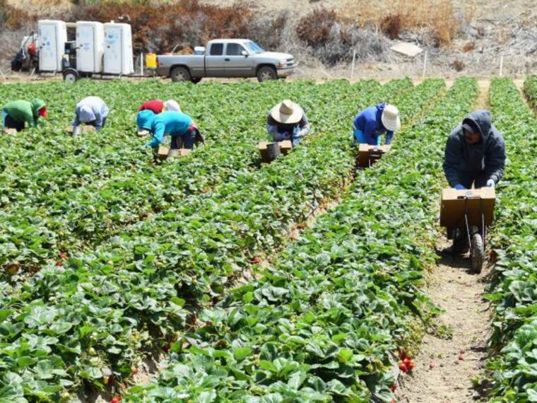 Mexicanos adultos mayores en EEUU demandan pensión del Bienestar.