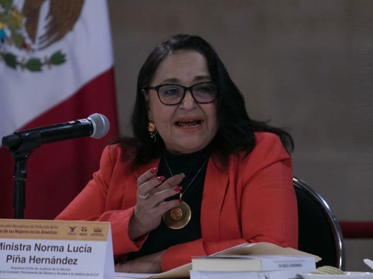 Se ponderó la libertad reproductiva y el derecho a decidir: Norma Lucía Piña.