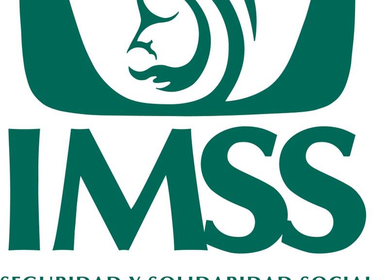 IMSS entrega contratos millonarios a red de empresas familiar