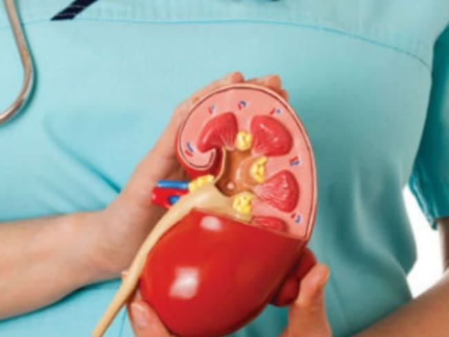 Mitos acerca de la donación de riñón
