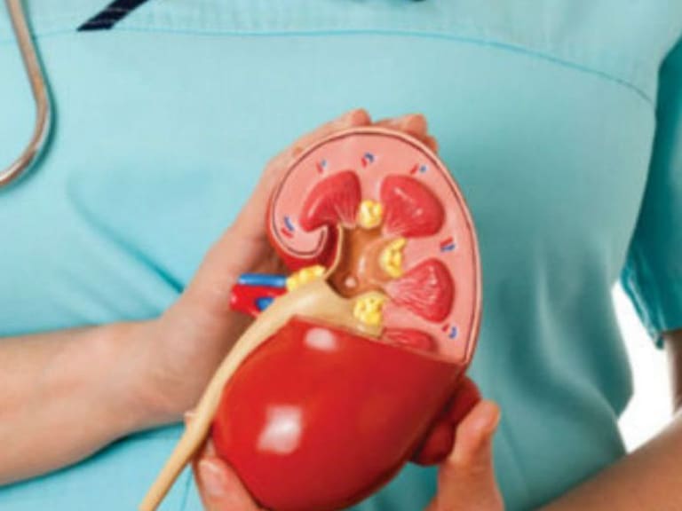 Mitos acerca de la donación de riñón