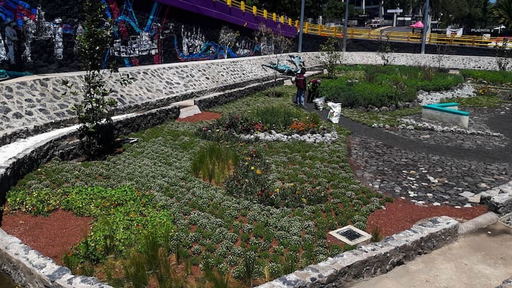 De morado a amarillo: CDMX cambia el color de sus puentes y reaviva debate por el gasto público